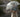Rifle Paper Co. Hydrangea umbrella with curved handle.