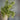 Green artificial plant in a pot against a gray wall