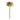 Napa Home & Garden - Hydrangea Stems