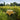Sunflower yellow and green tablecloths