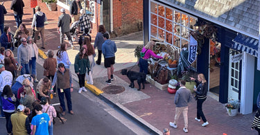 Celebrating the Waterfowl Festival in Easton, MD