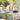 French Tablecloth Louise Multicolor: 90 x 90 - Square - Seats 8-10