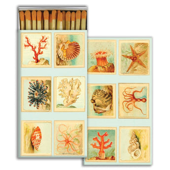 Matches featuring coral, mollusks, and seastars 