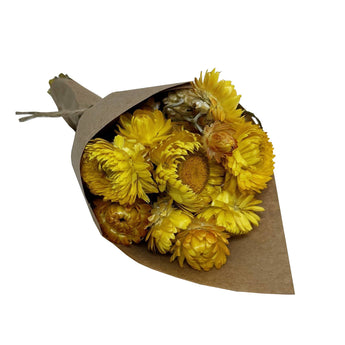 Andaluca - MINI Strawflower Bundle: Yellow