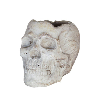 Concrete Momento Mori Skull