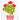 Swedish Dishcloth | Red Geranium