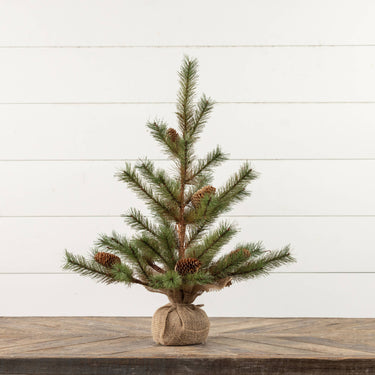 Small potted Christmas tree with pinecones on a wooden surface and white wooden panel background