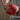 Red textured teapot being held with tea being poured, blurred background