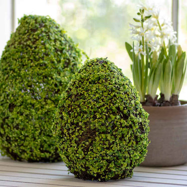 Belmont Faux Greenery Egg