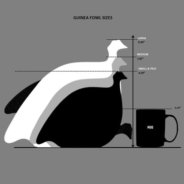Size comparison between the various guinea fowl figures