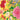 A Profusion of Flowers 2 - Boxed Set of 2