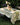 Mille Delices Boises Naturel Tablecloth by Garnier Thiebaut France at Welcome Home in Annapolis