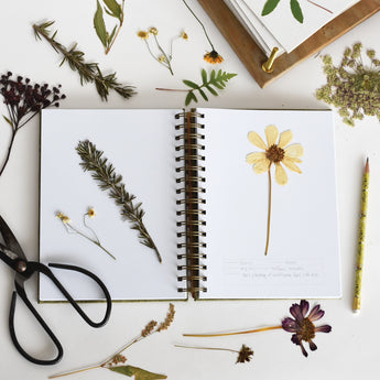 Herbarium Journal