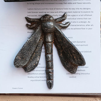 Cast Iron Dragonfly