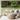Sky Scout Indoor/Outdoor Pillow