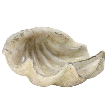 Cement Natural Clam Shell