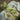 Artificial greenery and white flowers on an open book with a soft white fabric background