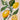 Lemon Branches Greeting Card