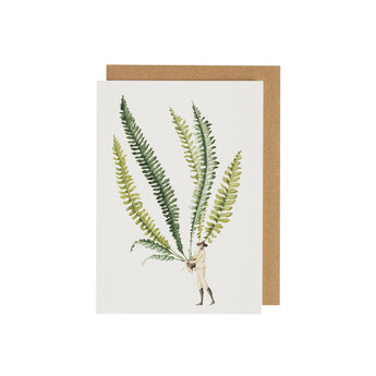 Fern Greeting Card