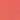 Confettis Corail Napkin | Set of 4