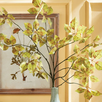 Napa Home & Garden - Variegated Leaf Branch 43"