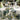 Giardino Collection