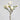 Artificial White Magnolia Tulip 20”