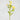 Artificial Yellow Ranunculus 22”