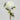 Artificial White Peony 19.5"