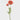 Artificial Salmon Pink Ranunculus 19.5"