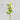 Artificial White Hellebore 18"